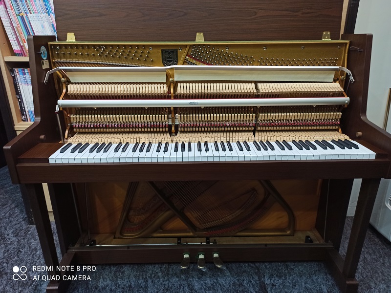 義大利BACHMANN 114 3