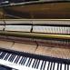 YAMAHA U2G
