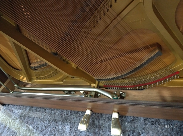 原裝YAMAHA LU-101(胡桃木) 5