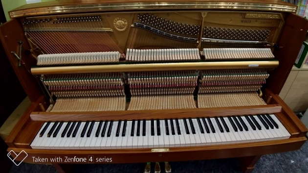 原裝YAMAHA W103B(柚木) 2