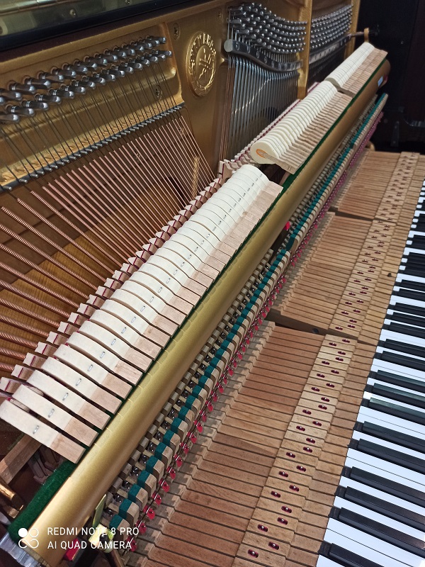原裝YAMAHA U1A 3