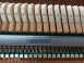 原裝 KAWAI CE-7