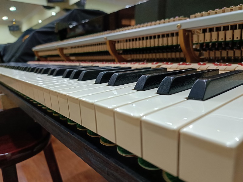 KAWAI RX-2 5