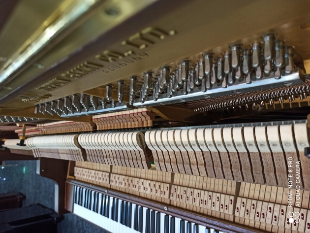 原裝YAMAHA W201米字琴 3