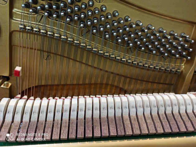 原裝YAMAHA W201米字琴 4