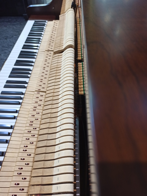 南非原裝OTTO BACH 117奧托巴哈鋼琴 3