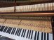 南非原裝OTTO BACH 117奧托巴哈鋼琴