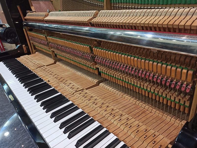 正統歐洲琴 捷克國寶PETROF 126 3