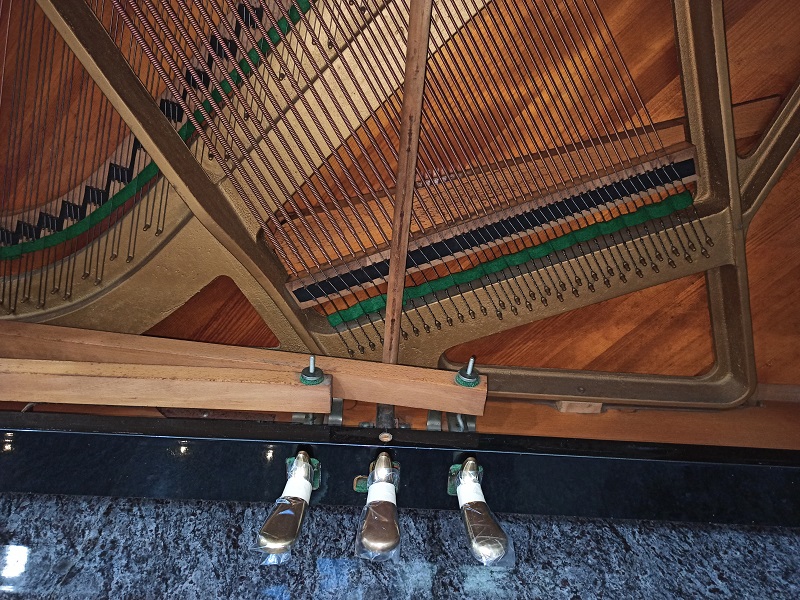 正統歐洲琴 捷克國寶PETROF 126 5