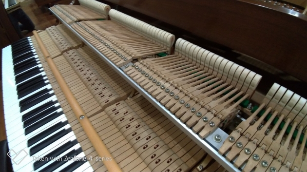 KAWAI KG-3C 稀有原木色 5