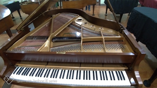 KAWAI KG-3C 稀有原木色 2