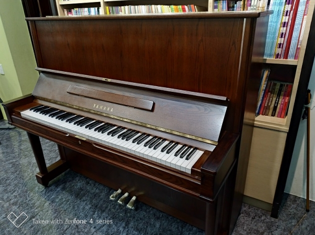 原裝YAMAHA W105 (橡木) 2