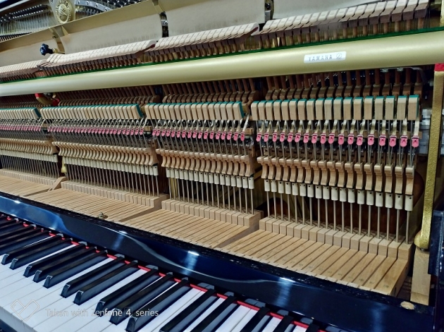 原裝YAMAHA UX-3 頂級米字琴 4